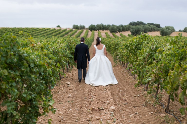 novios paseando por viñedos