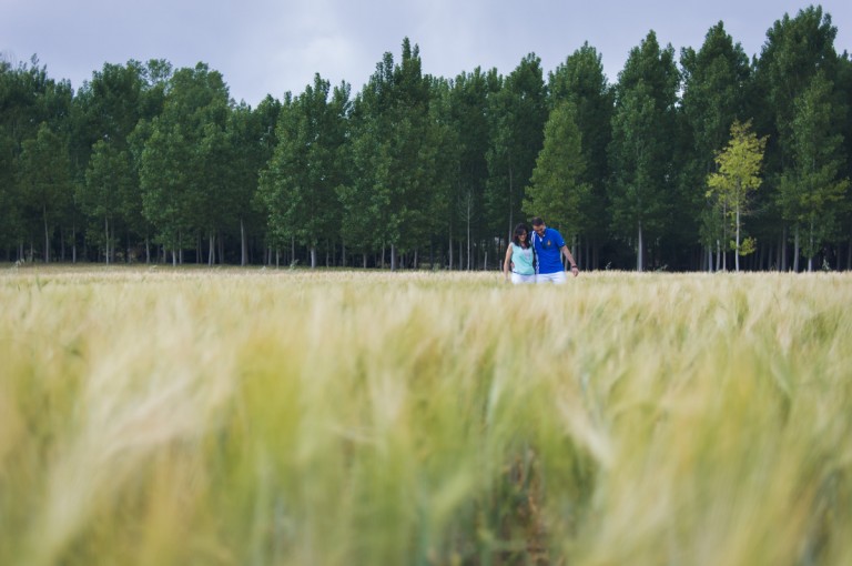 fotos de pareja en el campo